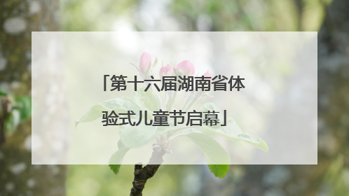 第十六届湖南省体验式儿童节启幕