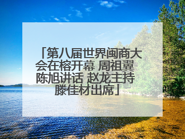 第八届世界闽商大会在榕开幕 周祖翼陈旭讲话 赵龙主持 滕佳材出席