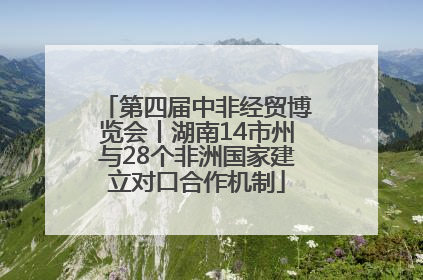 第四届中非经贸博览会丨湖南14市州与28个非洲国家建立对口合作机制