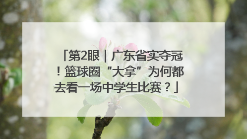 第2眼｜广东省实夺冠！篮球圈“大拿”为何都去看一场中学生比赛？