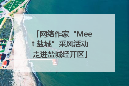 网络作家“Meet 盐城”采风活动走进盐城经开区