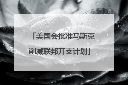 美国会批准马斯克削减联邦开支计划