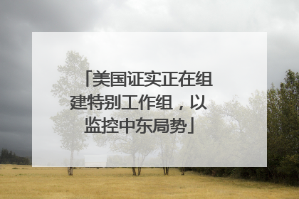 美国证实正在组建特别工作组，以监控中东局势