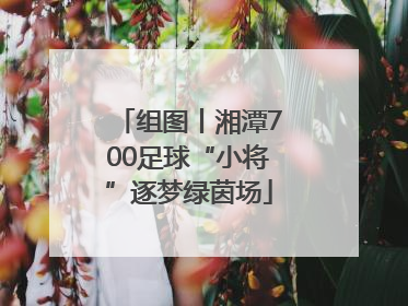 组图丨湘潭700足球“小将”逐梦绿茵场