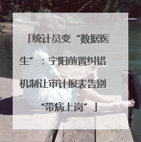统计员变“数据医生”：宁阳前置纠错机制让审计报表告别“带病上岗”