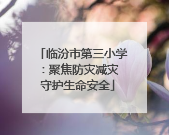临汾市第三小学：聚焦防灾减灾 守护生命安全