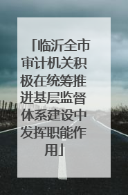 临沂全市审计机关积极在统筹推进基层监督体系建设中发挥职能作用
