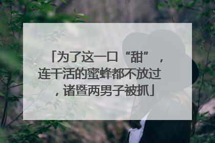 为了这一口“甜”，连干活的蜜蜂都不放过，诸暨两男子被抓