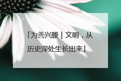 为善兴滕｜文明，从历史深处生长出来