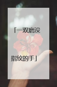 一双磨没指纹的手