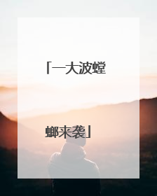 一大波螳螂来袭