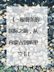 一根薯条的国际之旅，从内蒙古到斯里兰卡