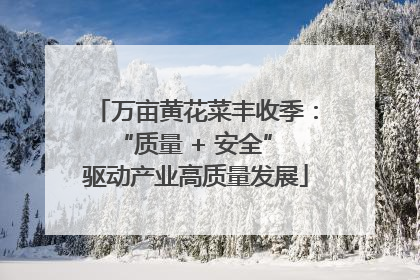 万亩黄花菜丰收季：“质量 + 安全” 驱动产业高质量发展