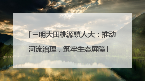 三明大田桃源镇人大：推动河流治理，筑牢生态屏障