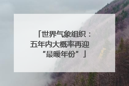 世界气象组织：五年内大概率再迎“最暖年份”