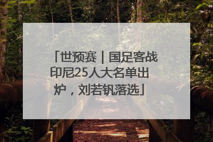 世预赛｜国足客战印尼25人大名单出炉，刘若钒落选