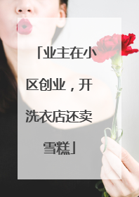 业主在小区创业，开洗衣店还卖雪糕