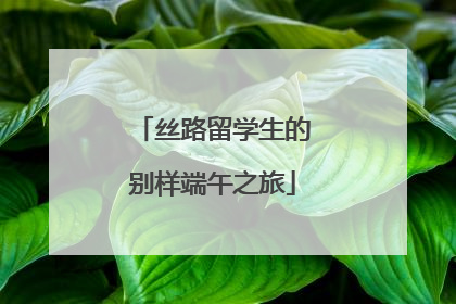 丝路留学生的别样端午之旅