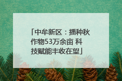 中牟新区：播种秋作物53万余亩 科技赋能丰收在望