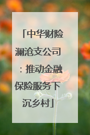 中华财险澜沧支公司：推动金融保险服务下沉乡村