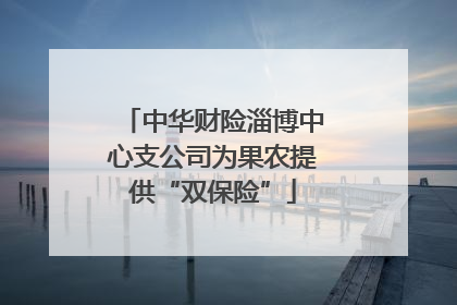 中华财险淄博中心支公司为果农提供“双保险”
