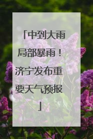 中到大雨局部暴雨！济宁发布重要天气预报