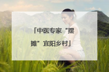 中医专家“摆摊”宜阳乡村