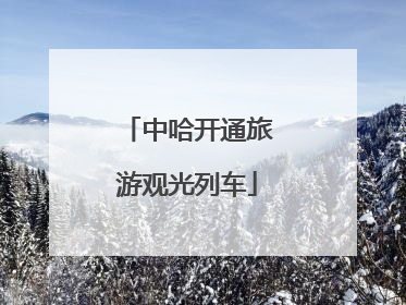 中哈开通旅游观光列车