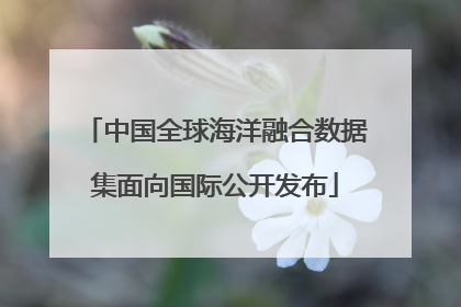 中国全球海洋融合数据集面向国际公开发布
