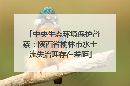中央生态环境保护督察：陕西省榆林市水土流失治理存在差距