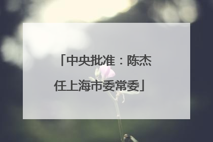 中央批准：陈杰任上海市委常委