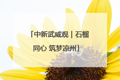 中新武威观｜石榴同心 筑梦凉州