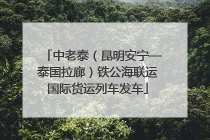 中老泰（昆明安宁—泰国拉廊）铁公海联运国际货运列车发车
