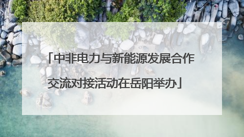 中非电力与新能源发展合作交流对接活动在岳阳举办