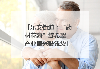 乐安街道：“药材花海”绽希望 产业振兴鼓钱袋