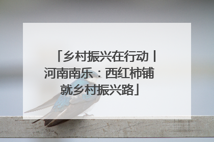 乡村振兴在行动丨河南南乐：西红柿铺就乡村振兴路