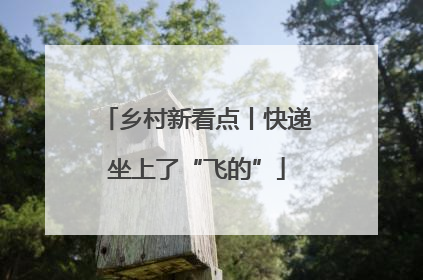 乡村新看点丨快递坐上了“飞的”