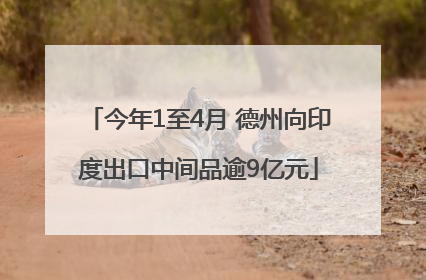 今年1至4月 德州向印度出口中间品逾9亿元