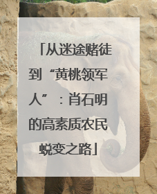 从迷途赌徒到“黄桃领军人”：肖石明的高素质农民蜕变之路