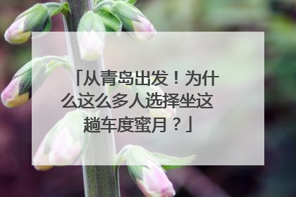 从青岛出发！为什么这么多人选择坐这趟车度蜜月？
