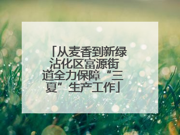 从麦香到新绿 沾化区富源街道全力保障“三夏”生产工作