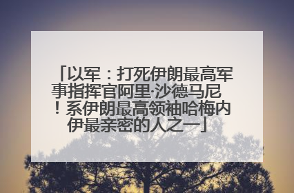 以军：打死伊朗最高军事指挥官阿里·沙德马尼！系伊朗最高领袖哈梅内伊最亲密的人之一