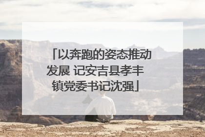 以奔跑的姿态推动发展 记安吉县孝丰镇党委书记沈强