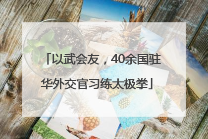 以武会友，40余国驻华外交官习练太极拳