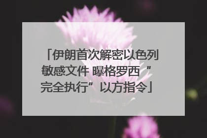 伊朗首次解密以色列敏感文件 曝格罗西“完全执行”以方指令