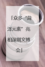 众多“菏泽元素”亮相深圳文博会