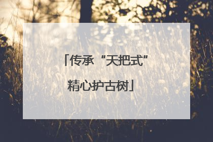 传承“天把式” 精心护古树