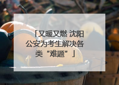 又暖又燃 沈阳公安为考生解决各类“难题”