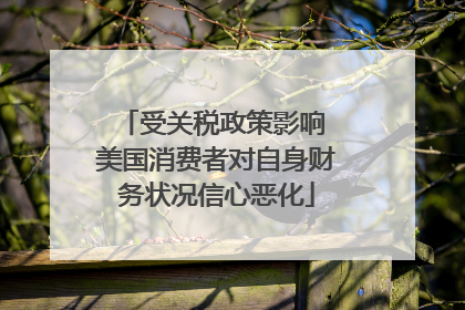 受关税政策影响 美国消费者对自身财务状况信心恶化