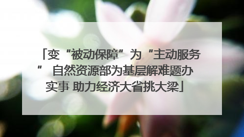 变“被动保障”为“主动服务” 自然资源部为基层解难题办实事 助力经济大省挑大梁